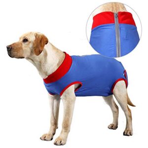 Combinaison Récupération — bleu & rouge