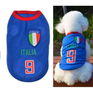 Maillot Italie #9 — Squadra Azzurra