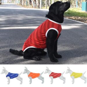 Maillot Performance rayé — 4 coloris